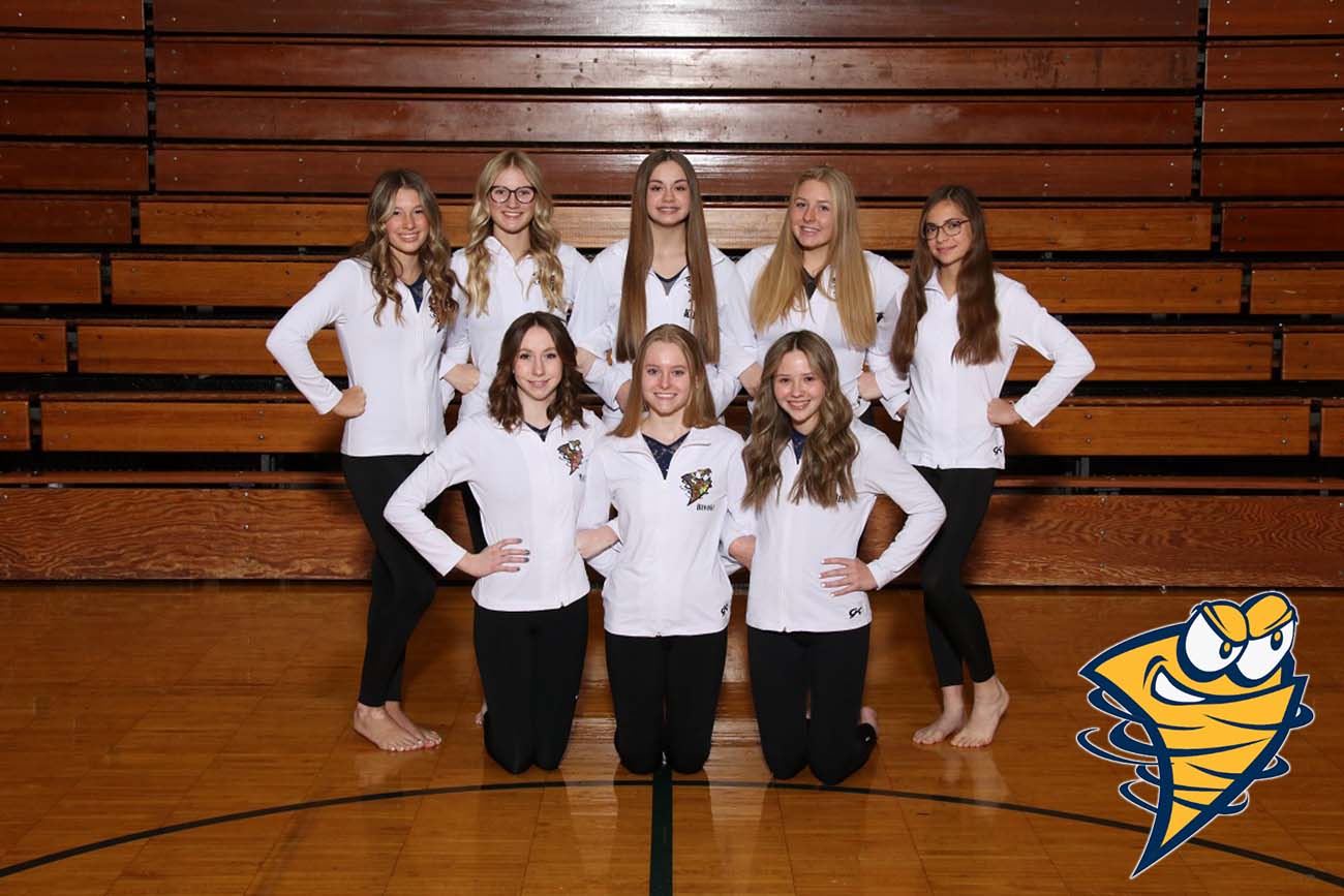 Gymnastics team